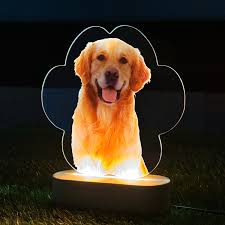 Customized Acrylic Lamp for Dog Lovers - Personalized Gift