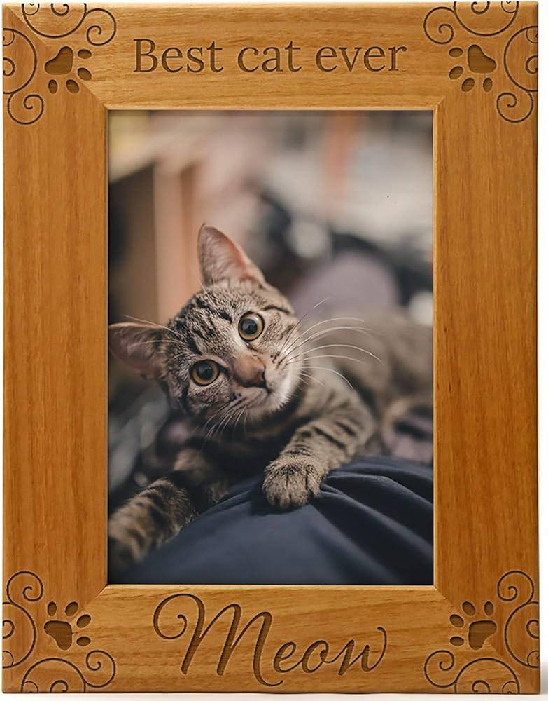 Personalized Cat Photo Frame β A Purr-fect Memory Keepsake