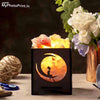 Sun & Moon Himalayan Rock Salt Lamp Basket